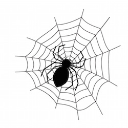 蜘蛛の巣は夢占いで縄張りを意味！蜘蛛の巣に絡まる・壊すなど６例