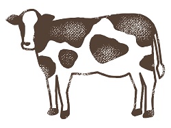 夢占いで牛は健康・余裕を表す！牛乳や牛丼など5例